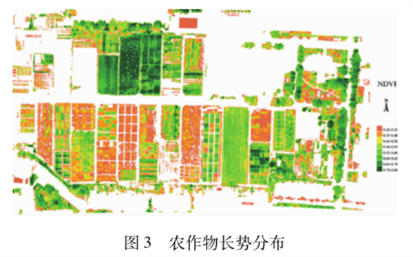 图3 农作物长势分布