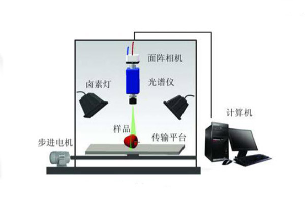 高光谱成像系统的结构示意图