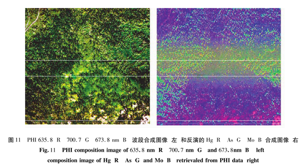 高光谱植物地球化学探测