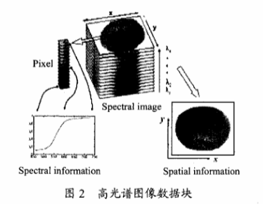 高光谱成像技术检测柑橘果锈2